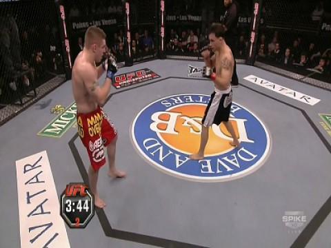 Roy Nelson vs. Brendan Schaub TUF 10 Finale