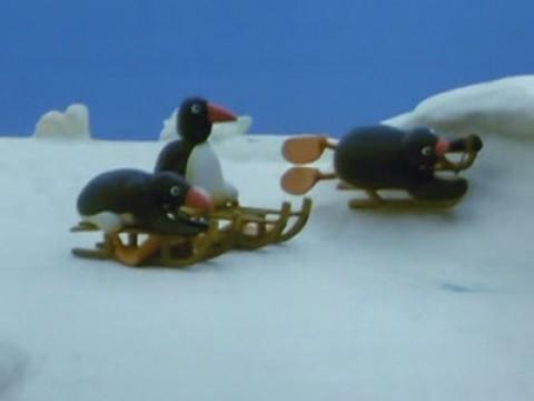 Pingu's Tobogganing