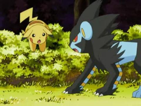 Luxray Vision