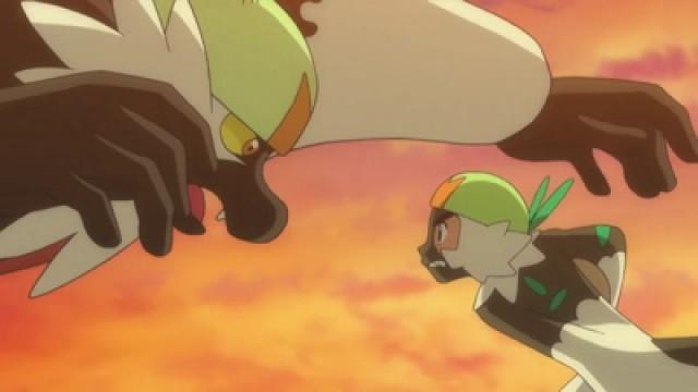 Ash and Passimian! Touchdown of Friendship!!