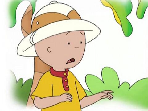 Caillou the Jungle Explorer