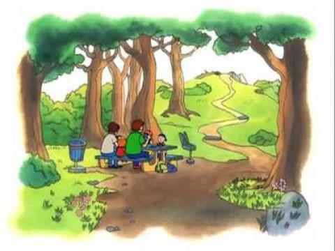 Caillou's Picnic