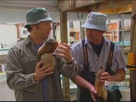 Geoduck Farmer