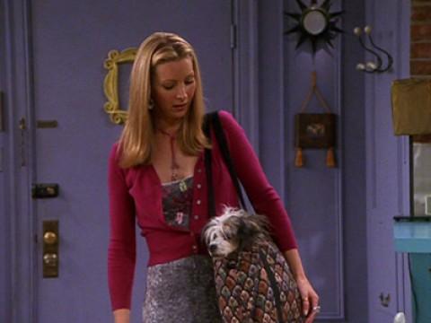 The One Where Chandler Doesn't Like Dogs