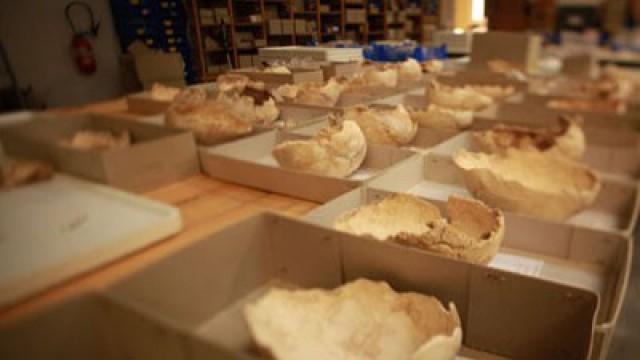Lost Cannibals of Europe