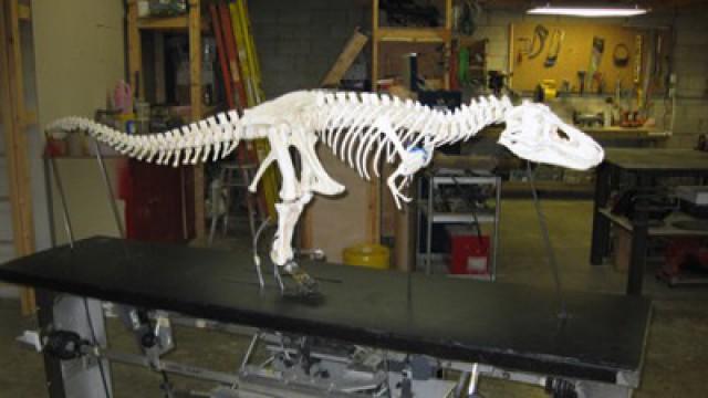 T. Rex Walks Again
