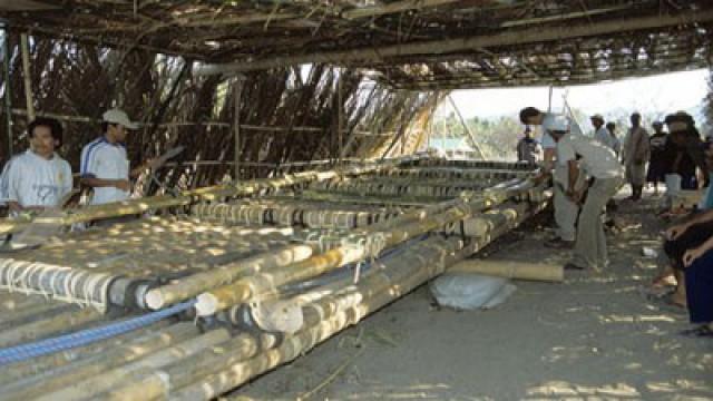 Tiny Humans: The Hobbits of Flores