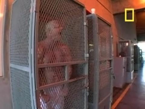 Surviving Maximum Security