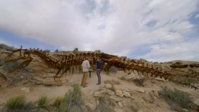 Digging Up Dinosaurs