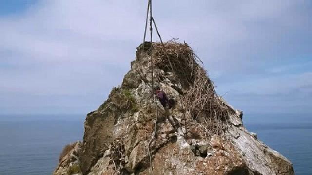 In the Eagle's Nest