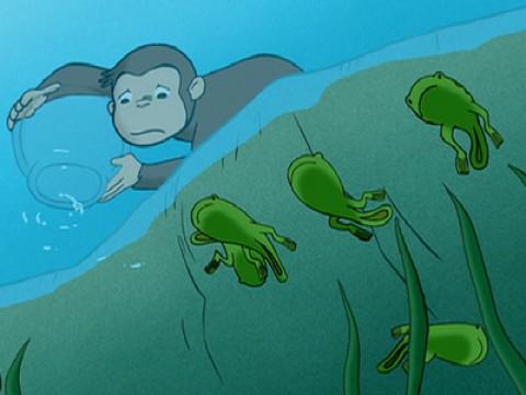 Curious George Discovers the 'Poles