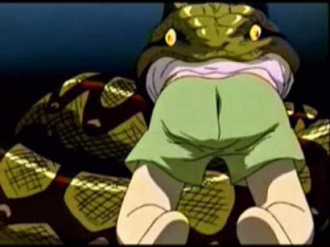 Duel With the Snake