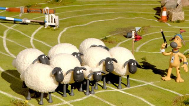 Championsheeps: The Steeplechase