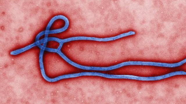 Ebola Outbreak / Hunting Boko Haram