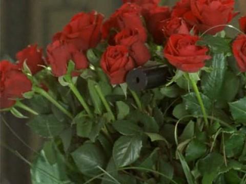 Blood Red Roses
