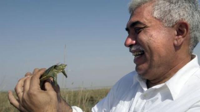 Miracle in the Marshes of Iraq