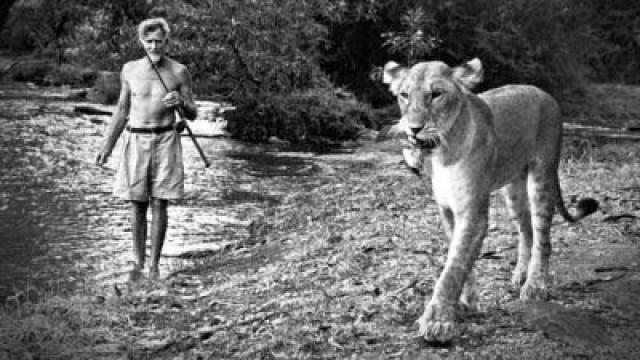 Elsa: The Lioness that Changed the World