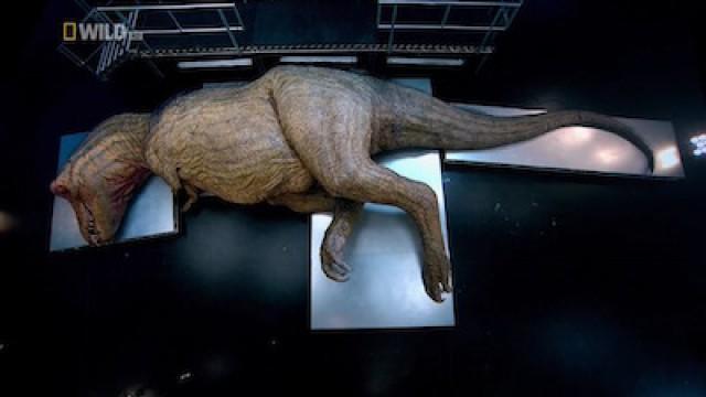 T. Rex Autopsy