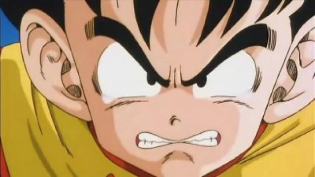 Gohan's Rage