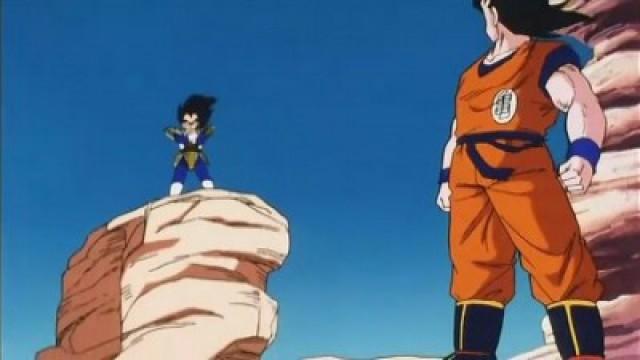 Goku vs. Vegeta