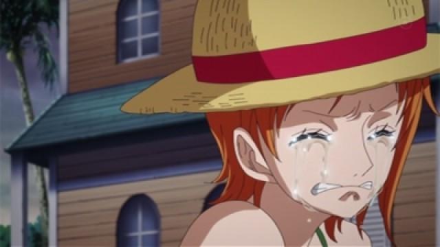 Episode of Nami: the Navigator's Tears and the Companions' Bonds