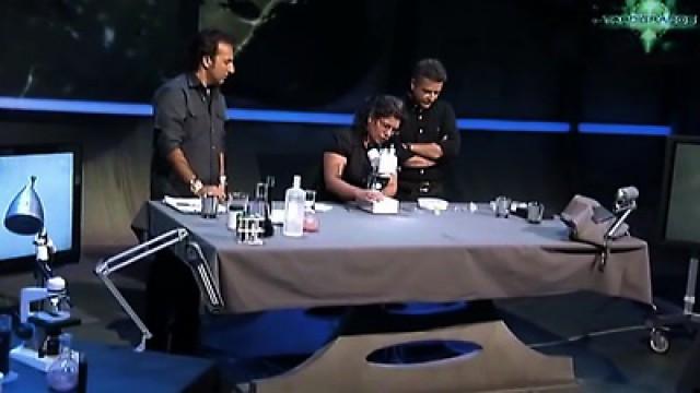 Tardígrados - El Misterio Medjugorje - El fantasma del Verdugo - En los Límites del Miedo