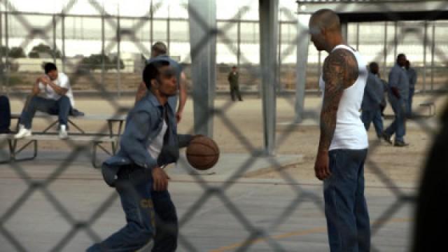 Webisodes: Mexican Basketball