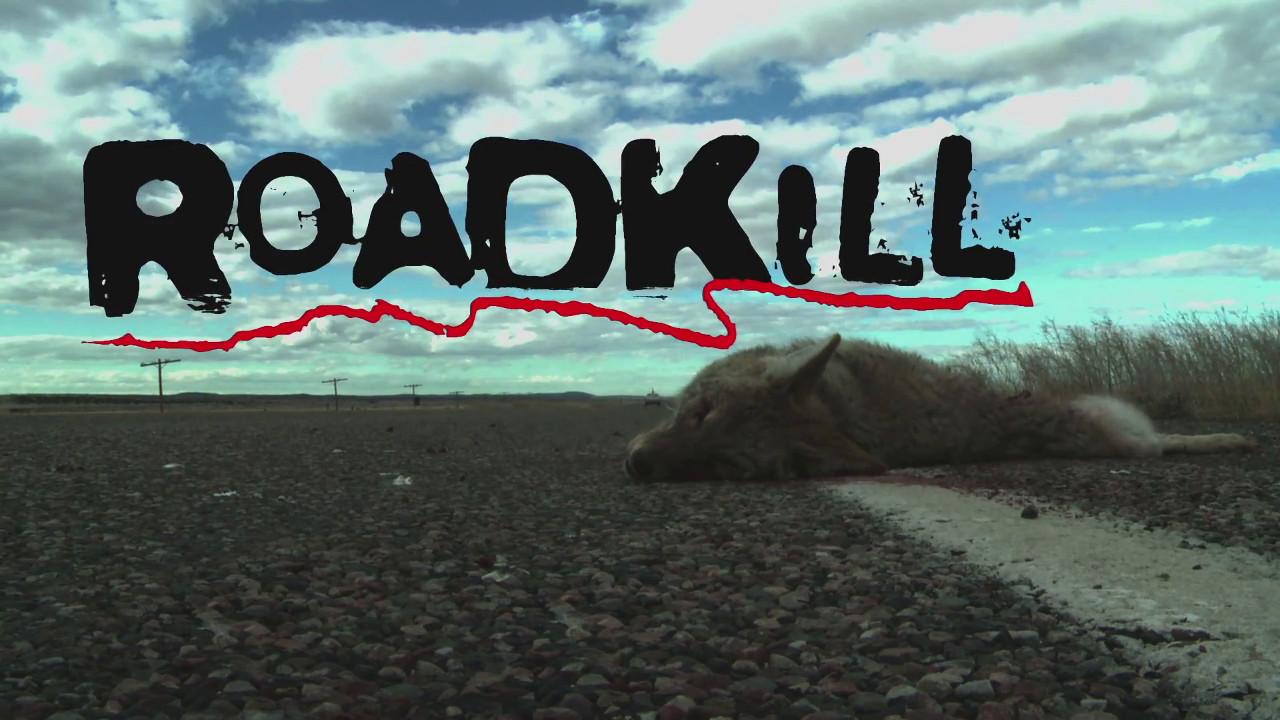 Roadkill