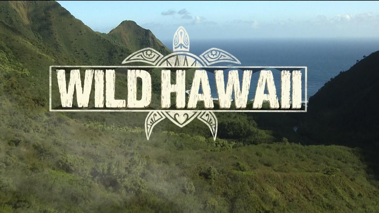 Wild Hawaii