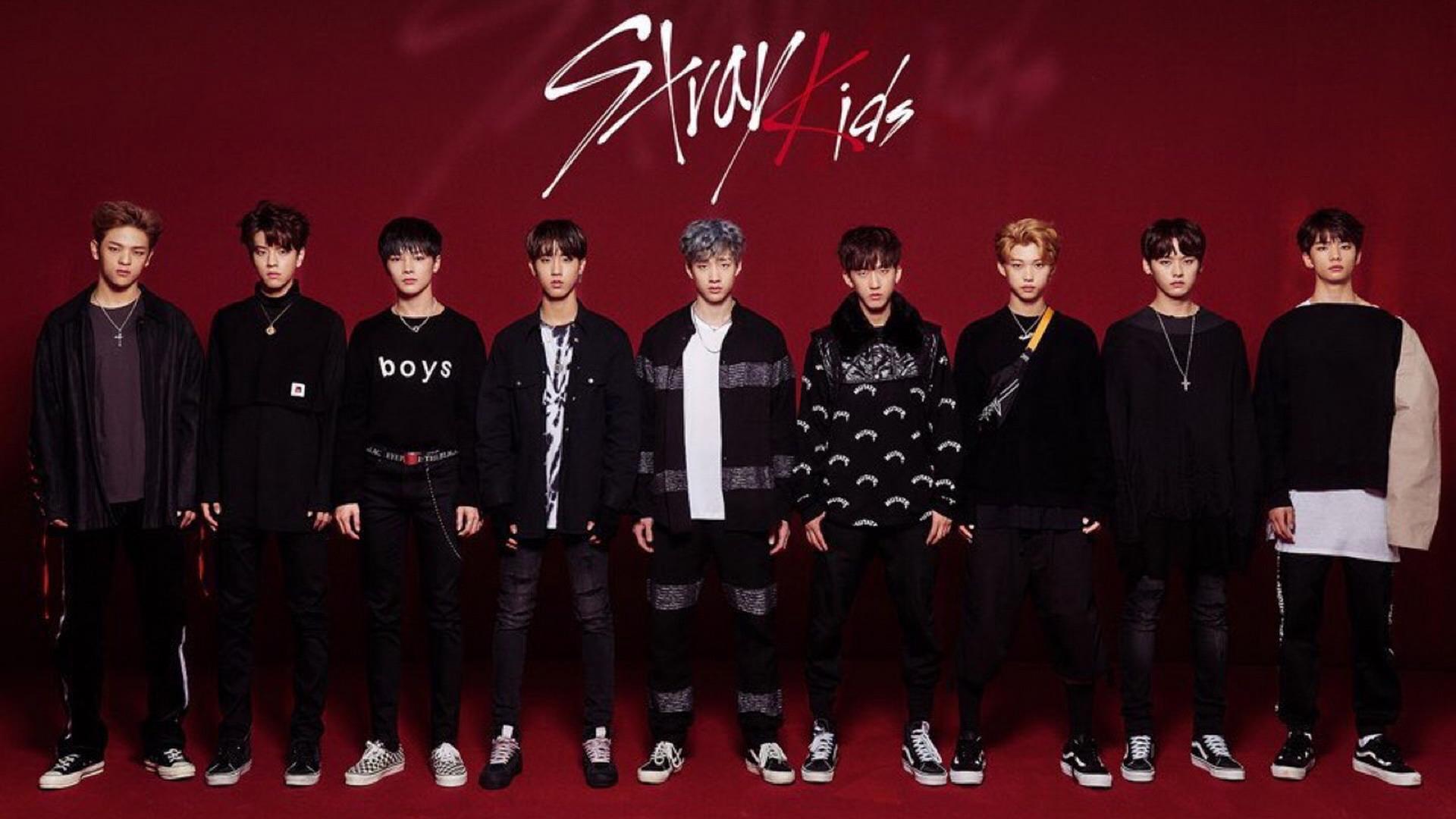 Stray Kids: The 9th