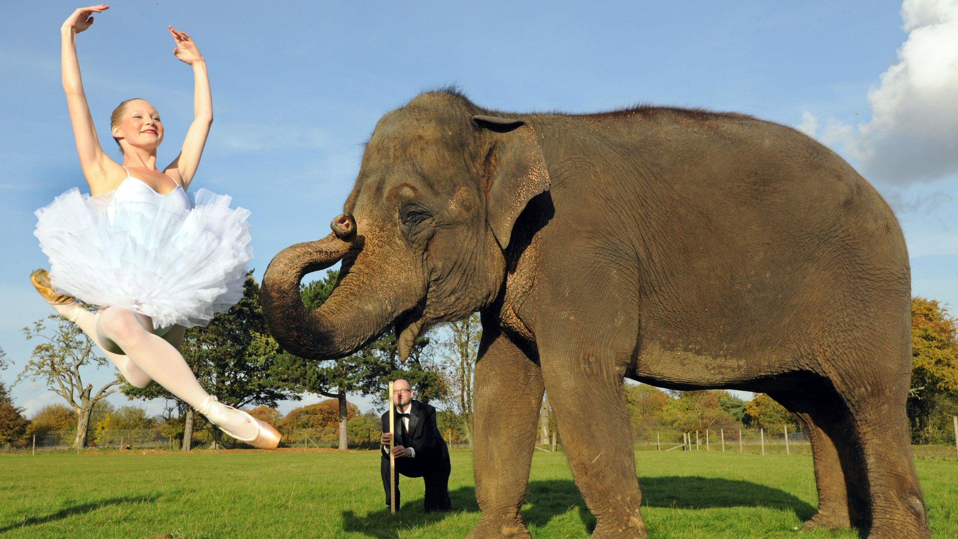 The Royal Institution Christmas Lectures