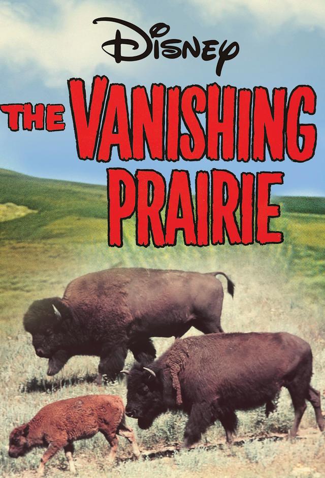 The Vanishing Prairie