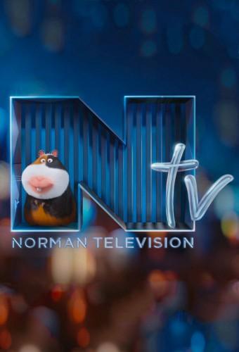 Norman Television