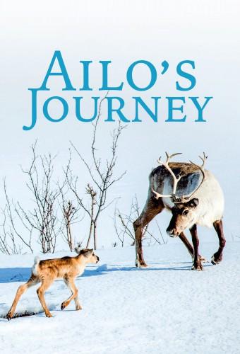 Ailo's Journey