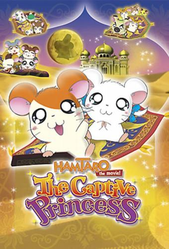 Hamtaro: The Captive Princess