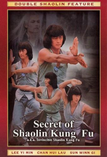 Secret Of Shaolin Kung Fu