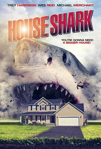 House Shark