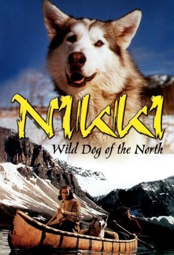 Nikki, Wild Dog of the North