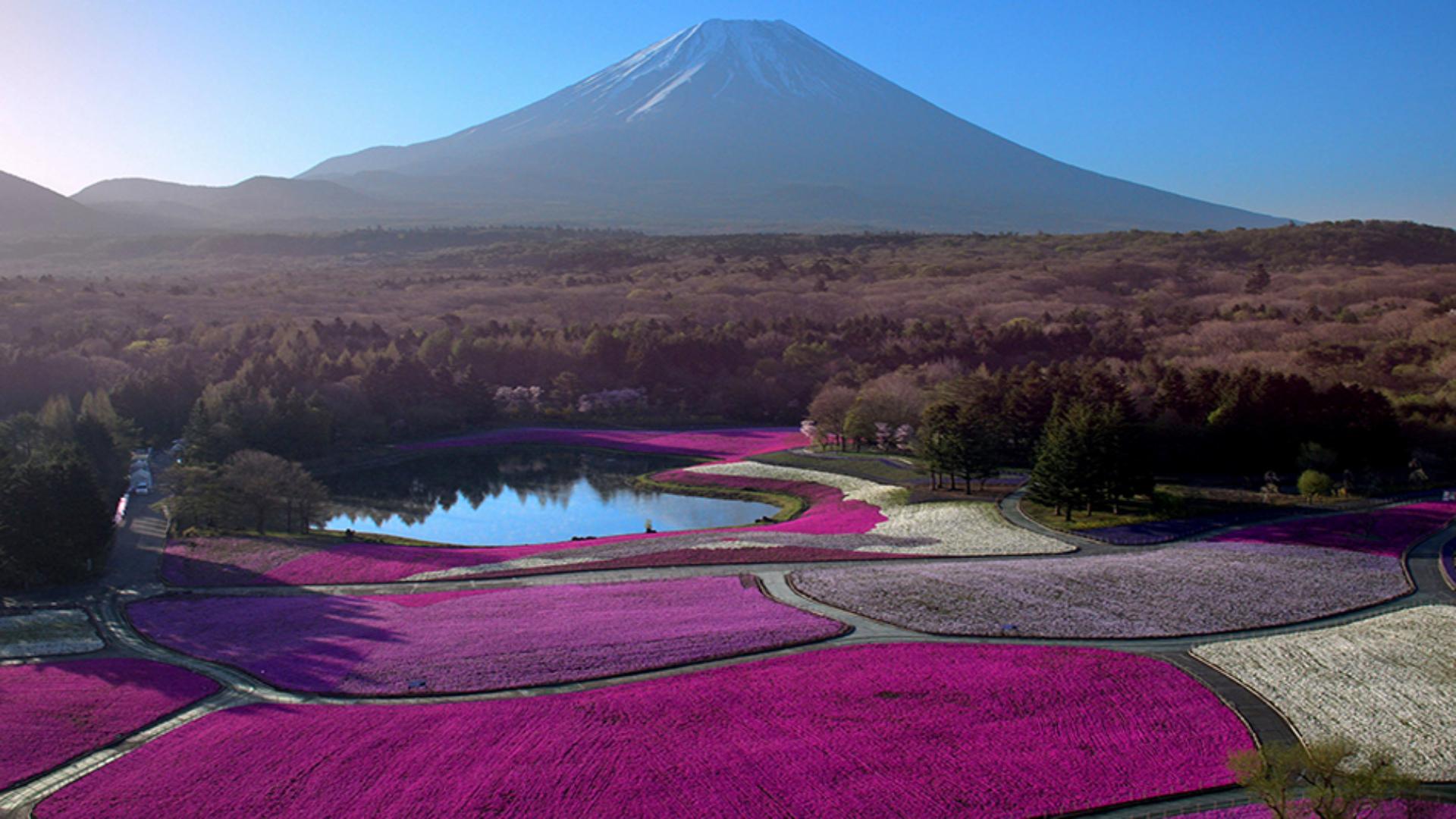 Japon, aux racines du soleil