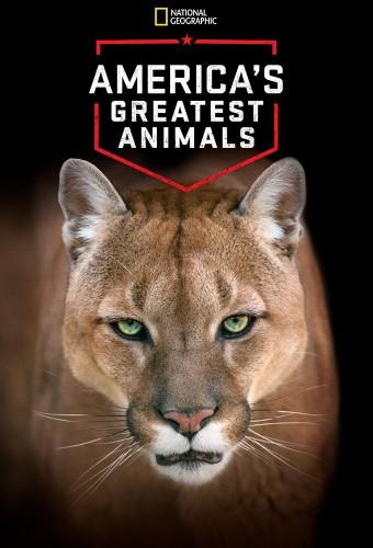 America's Greatest Animals