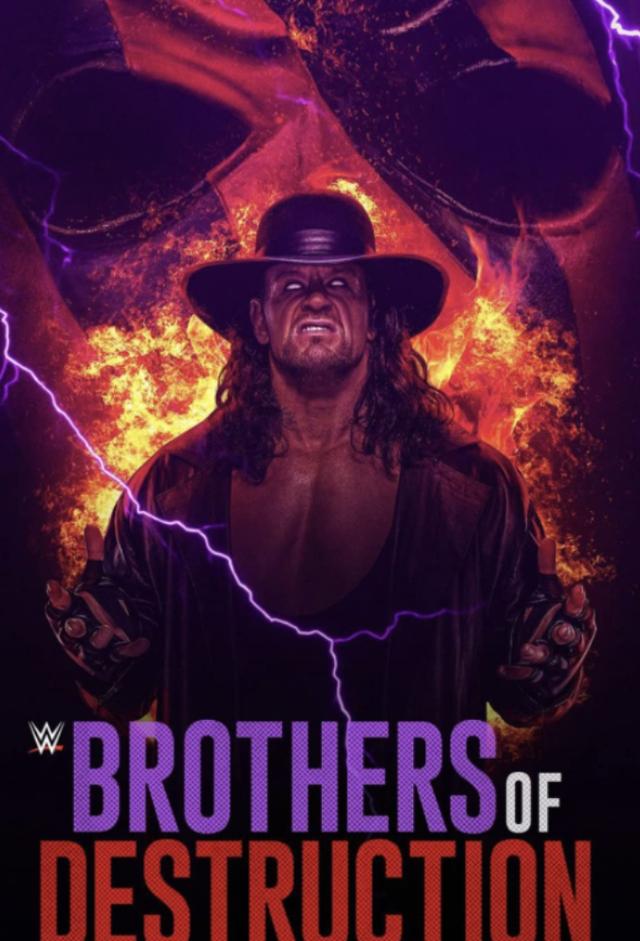 WWE: Brothers of Destruction