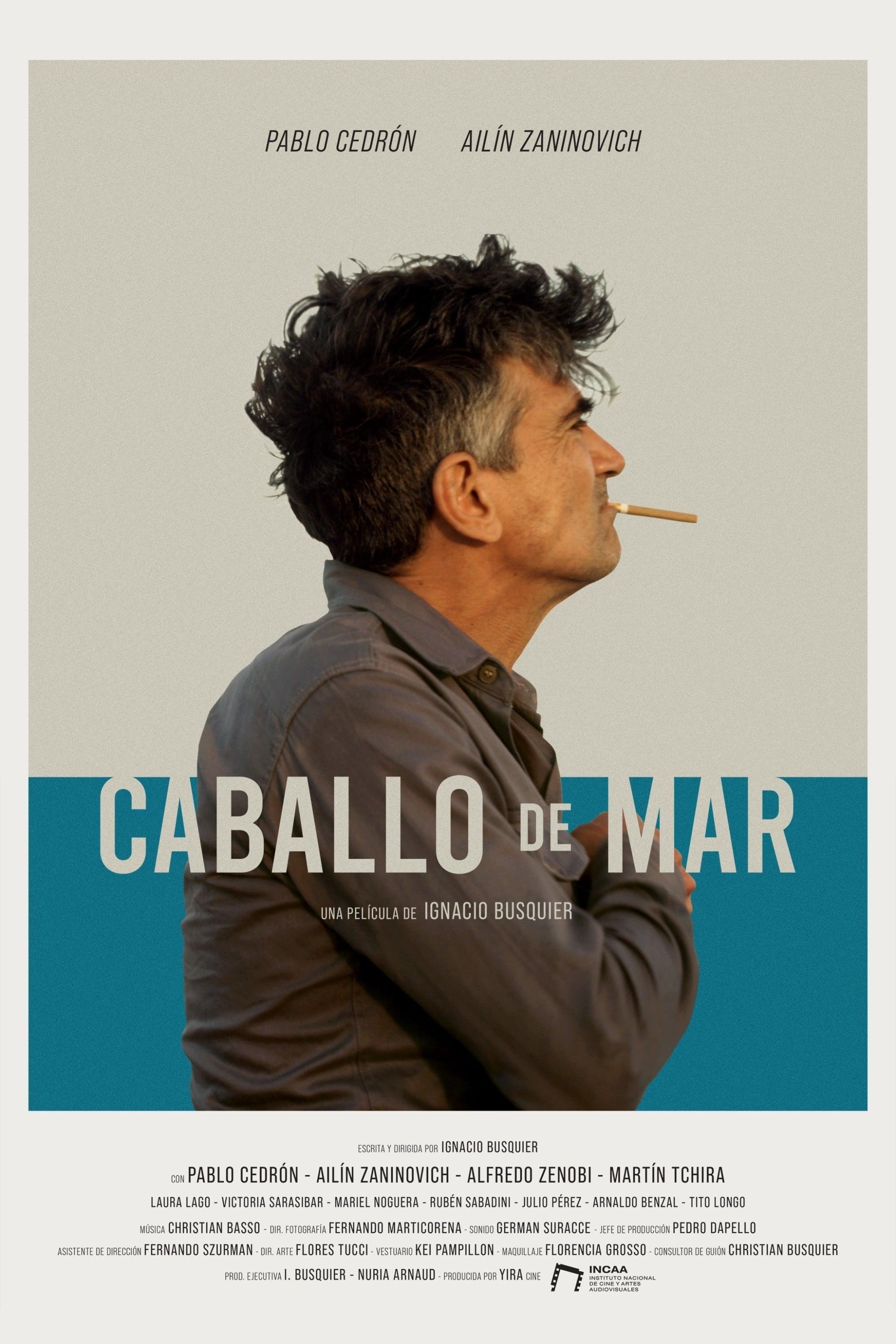 Caballo de Mar