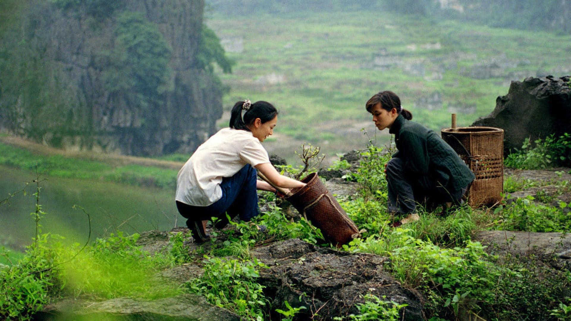 The Chinese Botanist's Daughters