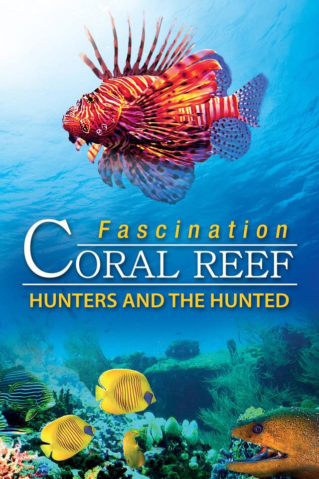 Fascination Coral Reef: Hunters and the Hunted