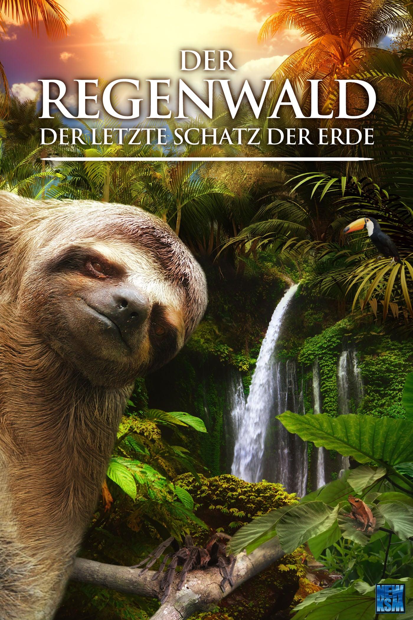 Secret Life of the Rainforest