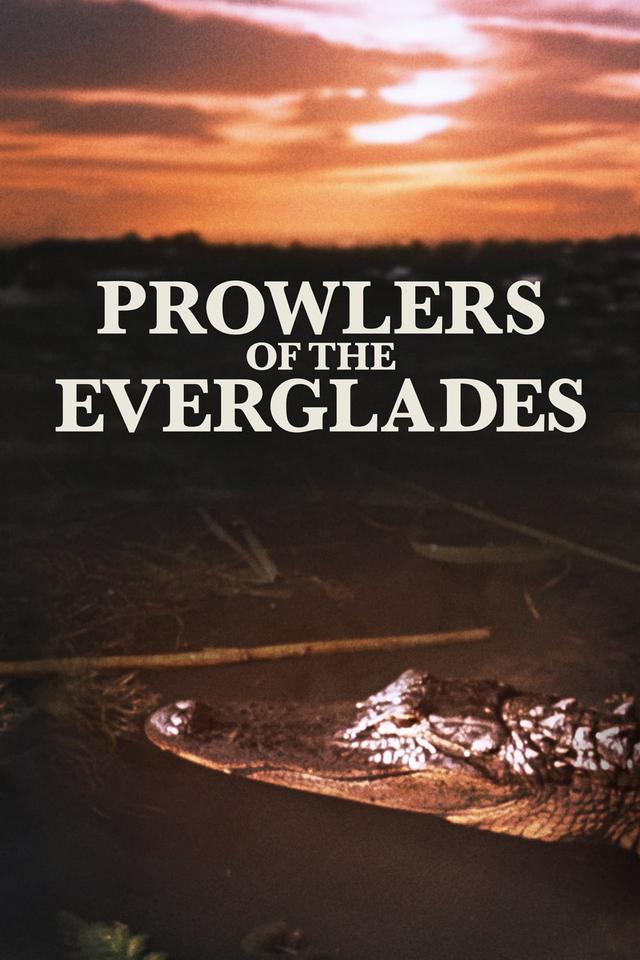 Prowlers of the Everglades