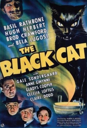 The Black Cat