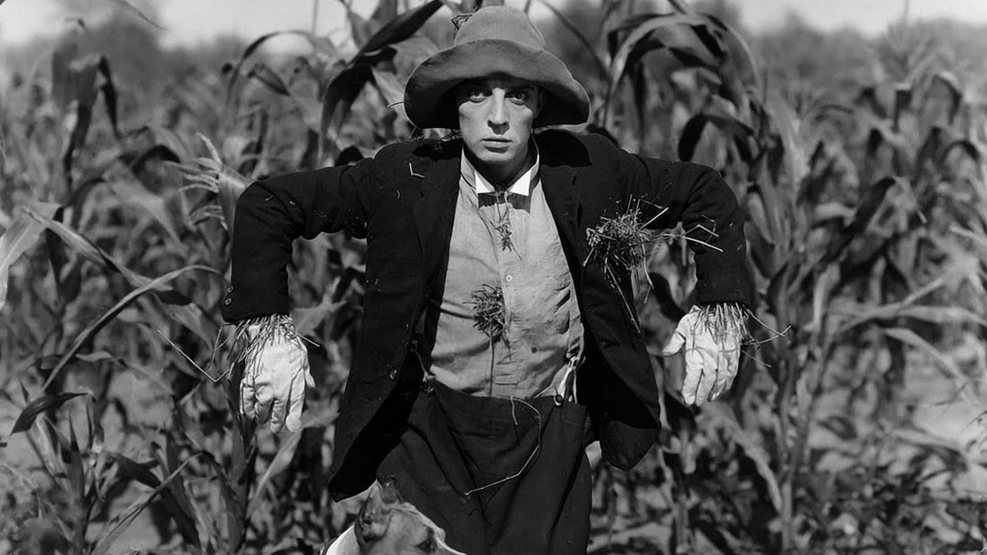 The Scarecrow