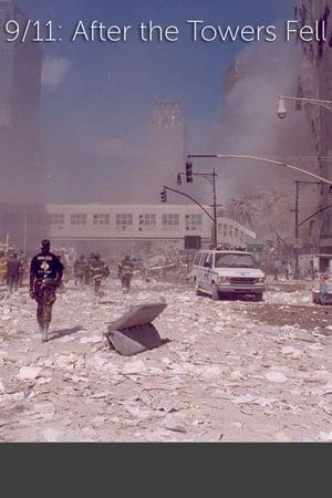 9/11: After the Towers Fell