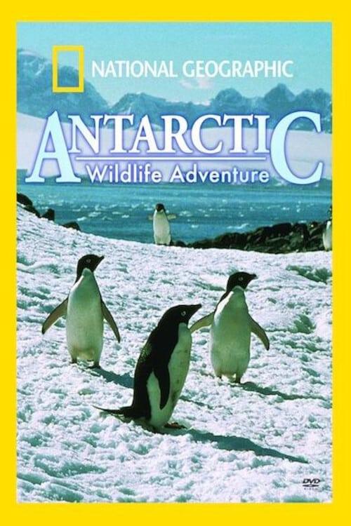 National Geographic: Antarctic Wildlife Adventure